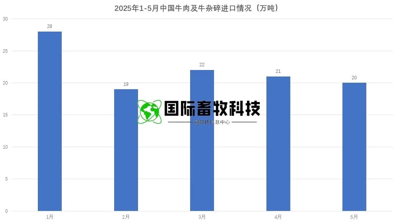 ������K8���� - ����Ӯ�ҡ�һ������