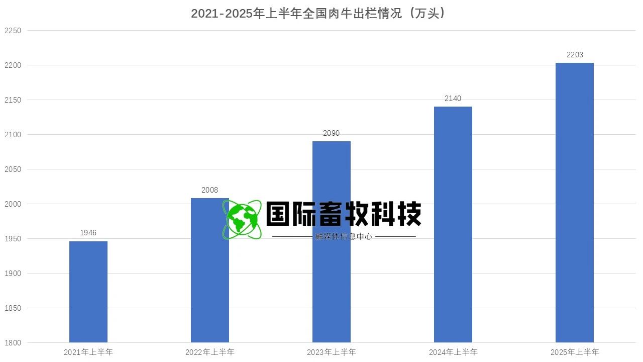 ������K8���� - ����Ӯ�ҡ�һ������