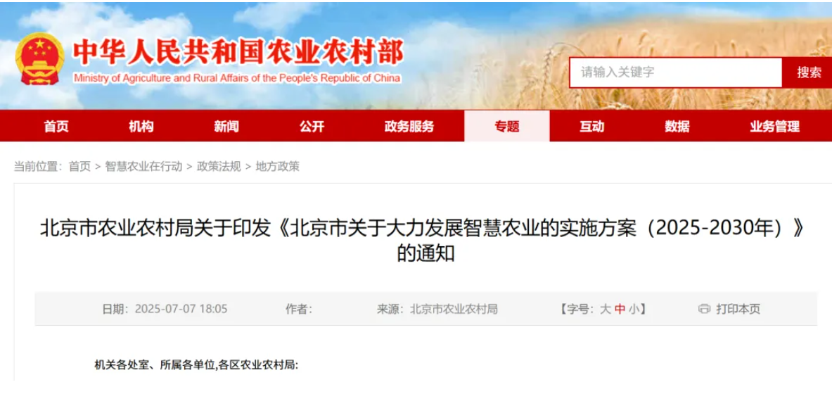 ������K8���� - ����Ӯ�ҡ�һ������